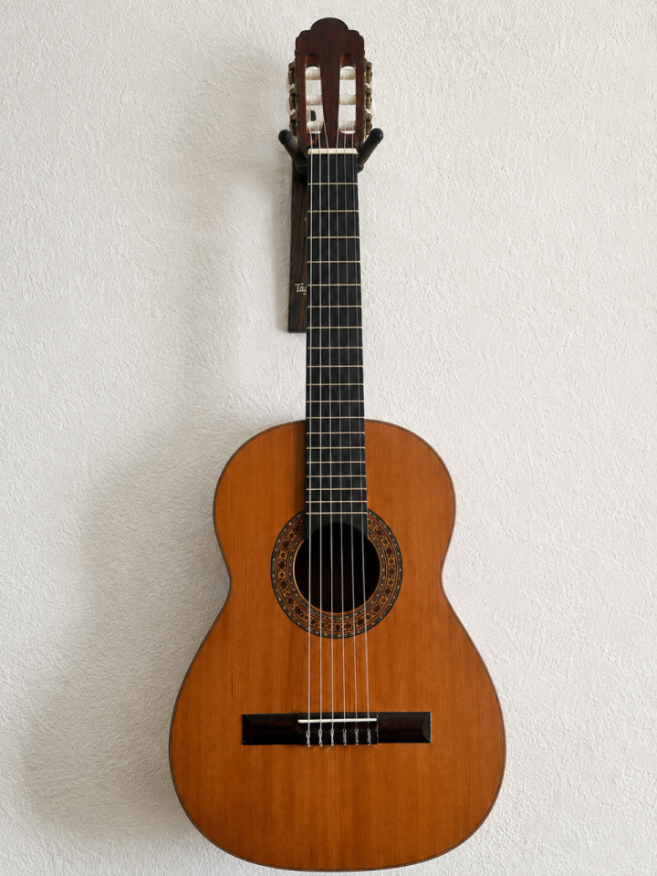 Vendo/Cambio Requinto de palosanto macizo de segunda mano · Foto 1 de 5 · Valencia · 650 €