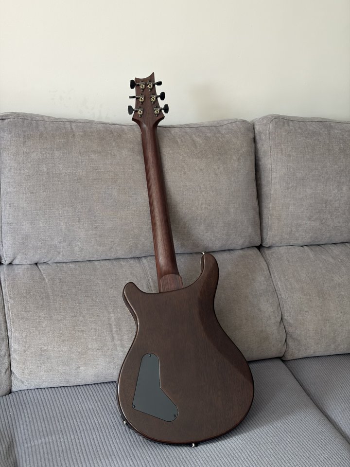 PRS Paul's Guitar Wood Library Rosewood Neck de segunda mano · Foto 3 de 5 · Madrid · 5500 €
