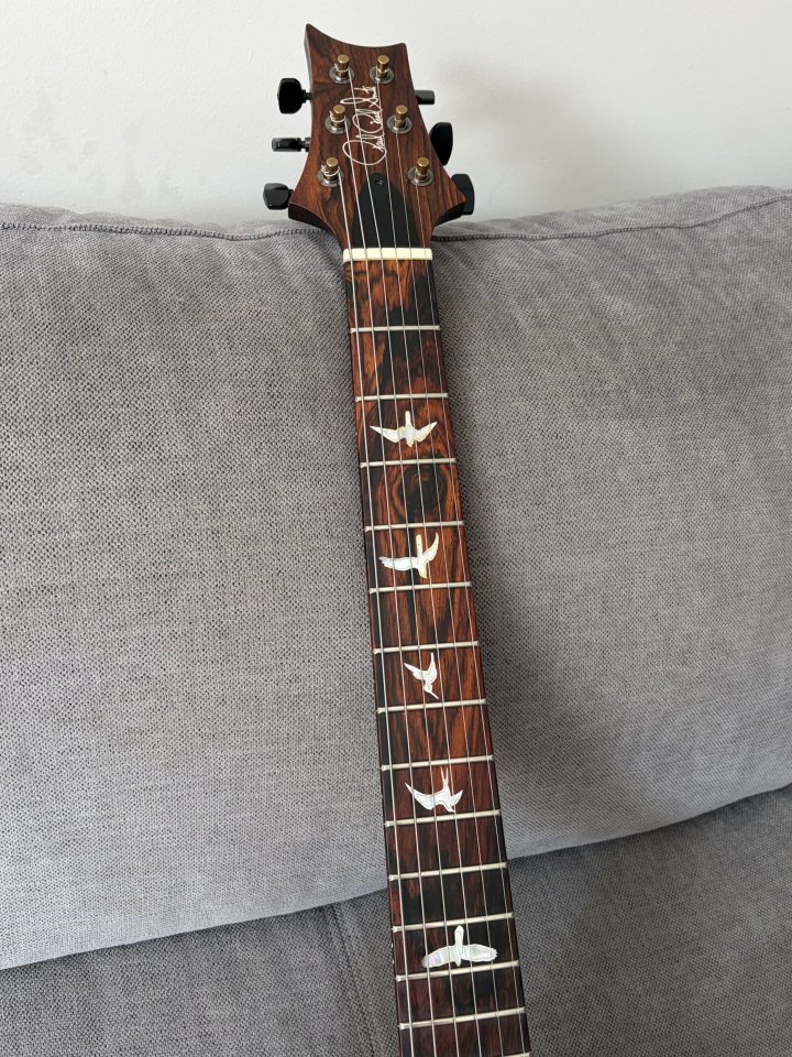 PRS Paul's Guitar Wood Library Rosewood Neck de segunda mano · Foto 4 de 5 · Madrid · 5500 €