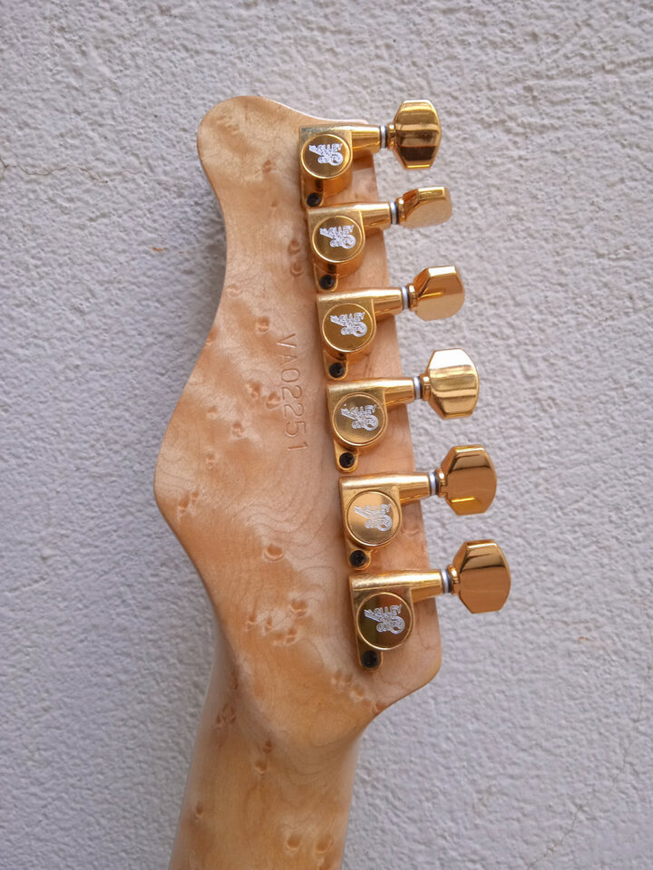 Valley Arts USA USA Custom Pro modelo Larry Carlton