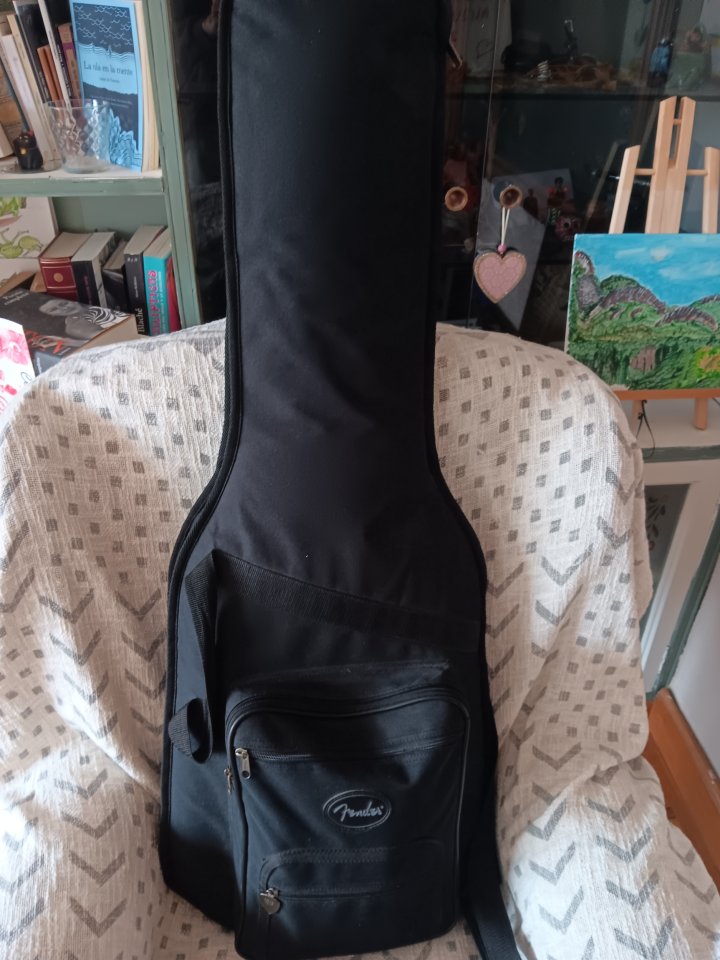 Squier stratocaster serie E Japan 1984-1987 REBAJADA