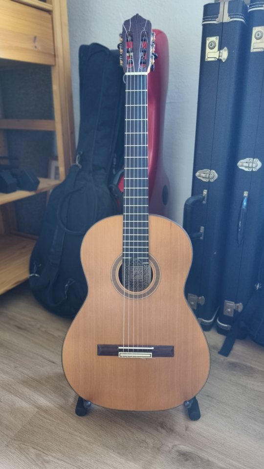 Guitarra clásica de concierto