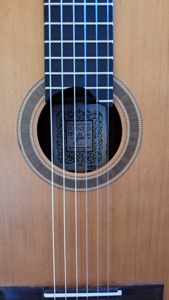 Guitarra clásica de concierto