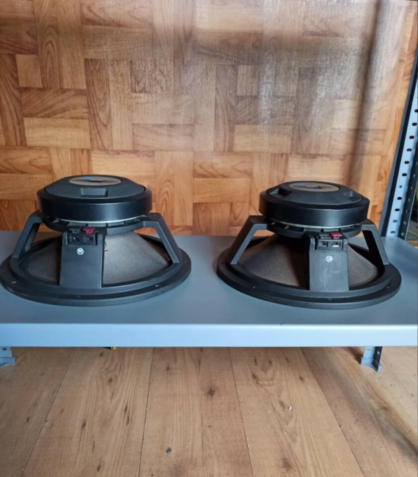 Altavoces Guitarra JBL G125-8, con Regalo!