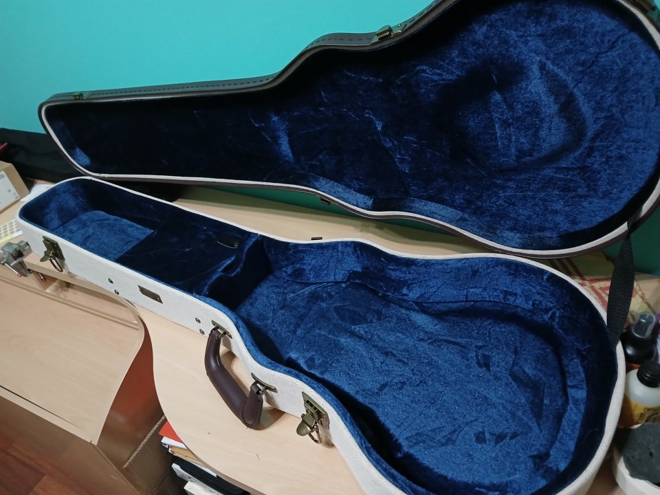 Estuche Gator Journeyman Les Paul