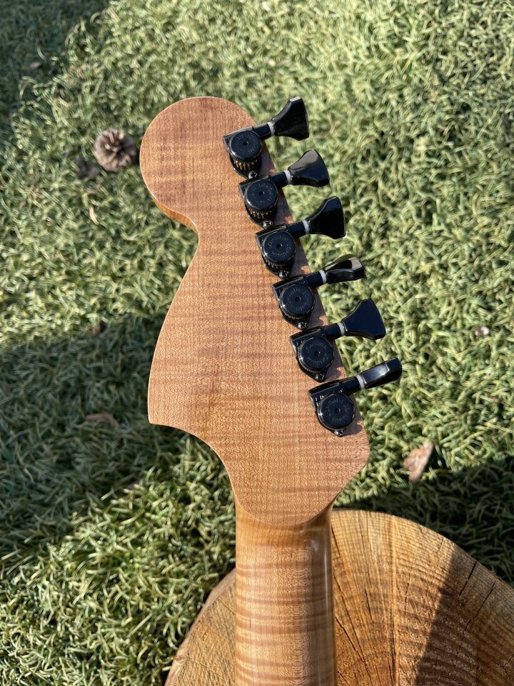 Jaguar badak guitars