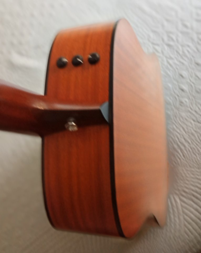 GUITARRA ELECTROACUSTICA TAYLOR 110e SATIN SUNBURST de segunda mano · Foto 3 de 10 · Madrid · 750 €
