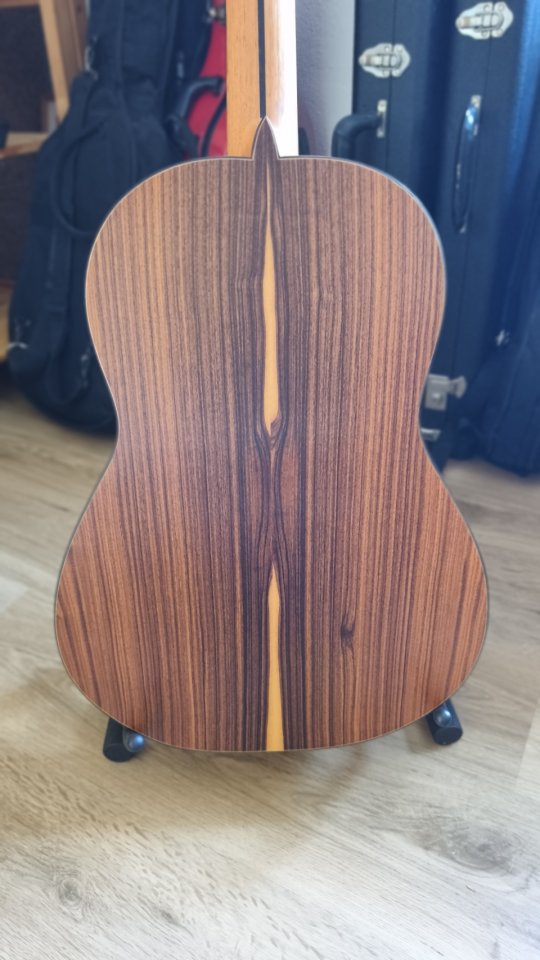 Guitarra clásica de concierto