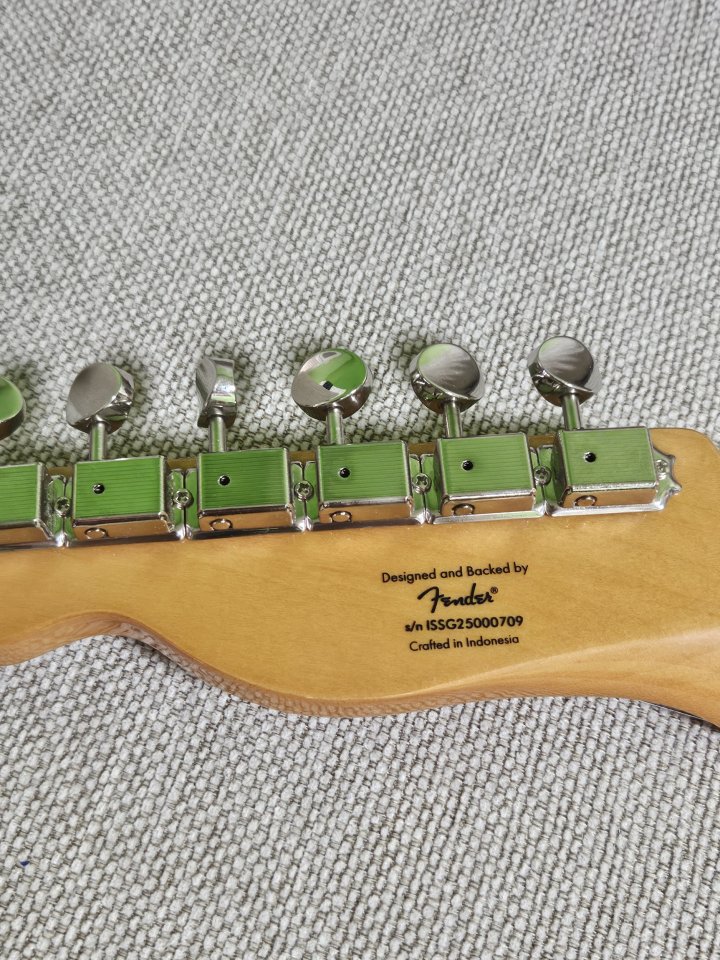 CAMBIO EN MANO Squier C.V. Telecaster Thinline de segunda mano · Foto 5 de 5 · Valencia