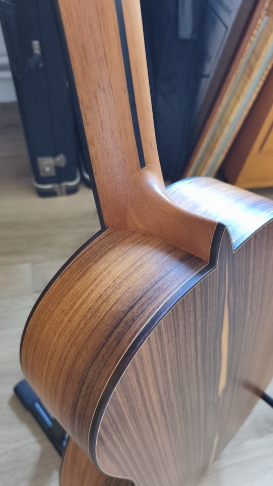 Guitarra clásica de concierto