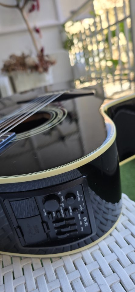 Guitarra Electroacústica Takamine