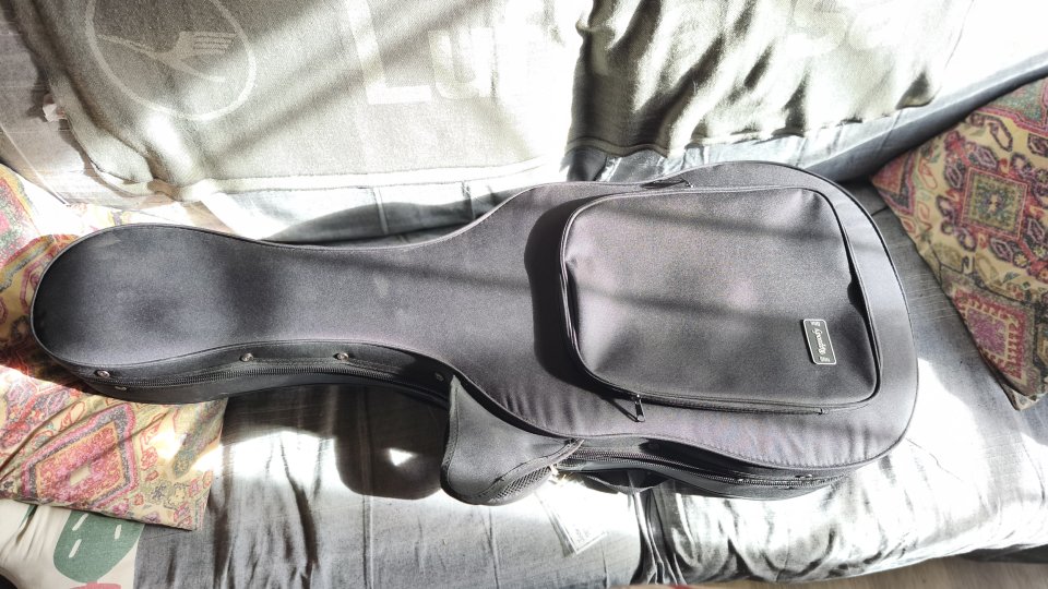 Guitarra clásica de concierto