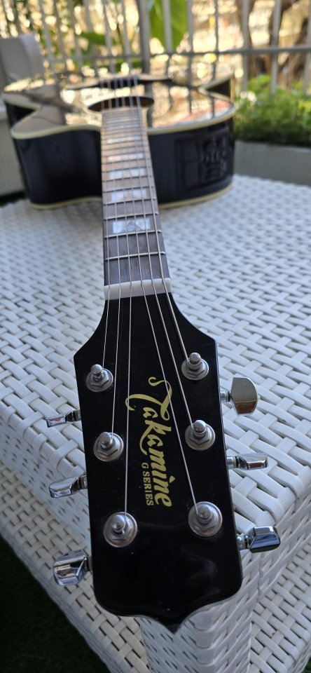 Guitarra Electroacústica Takamine
