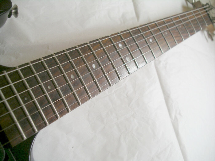 Lag Roxane 100 Standard + apantallado + funda