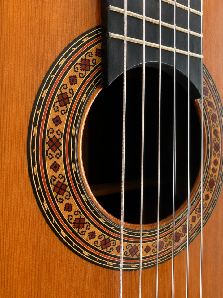 Vendo/Cambio Requinto de palosanto macizo de segunda mano · Foto 3 de 5 · Valencia · 650 €