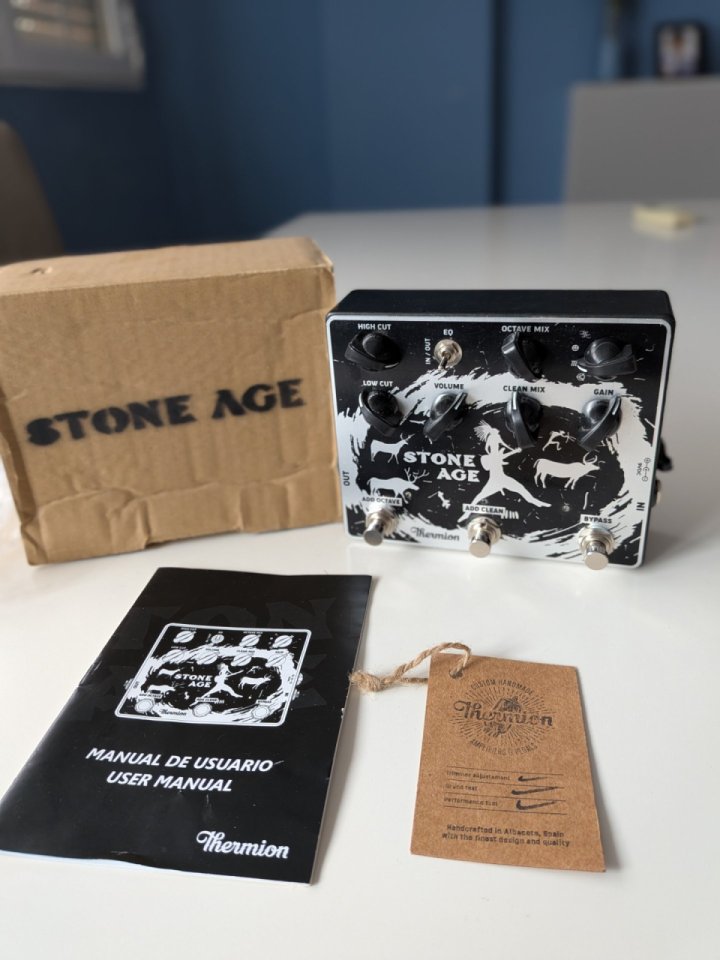 Thermion Stone age de segunda mano · Foto 1 de 2 · Jaén · 160 €