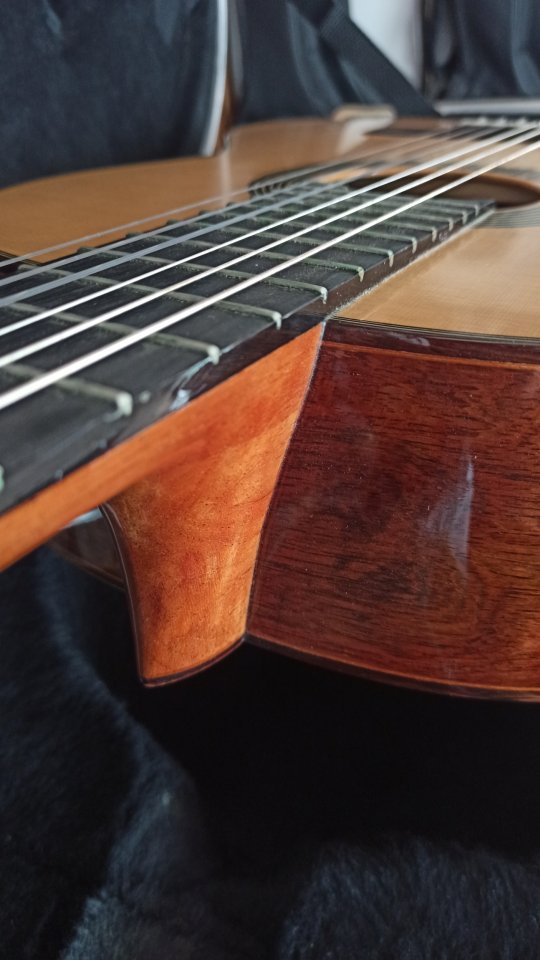 Clásica J. Terrer Desengaño 80