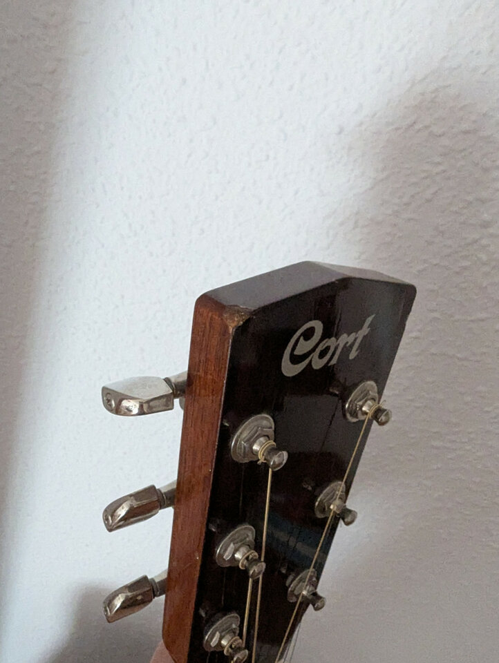 Acústica Cort AD-870