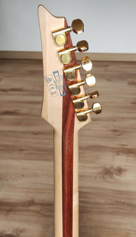 Ibanez SIX70FDBG  "Iron Label" Pastillas DiMarzio