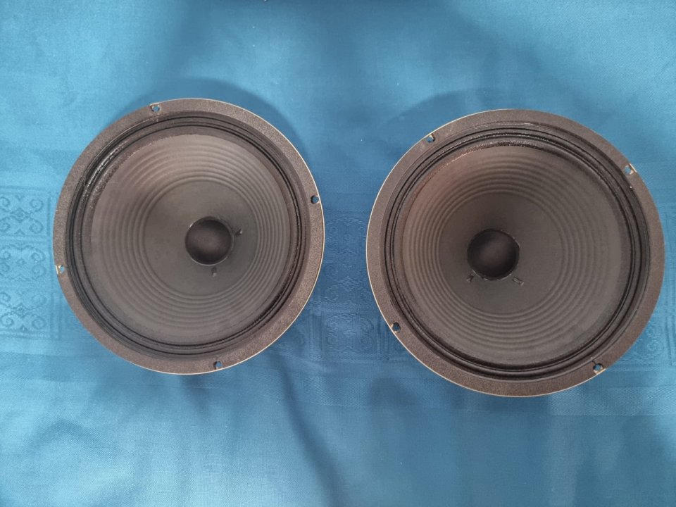 Altavoz Celestion G12 Vintage 30 (2 unidades)