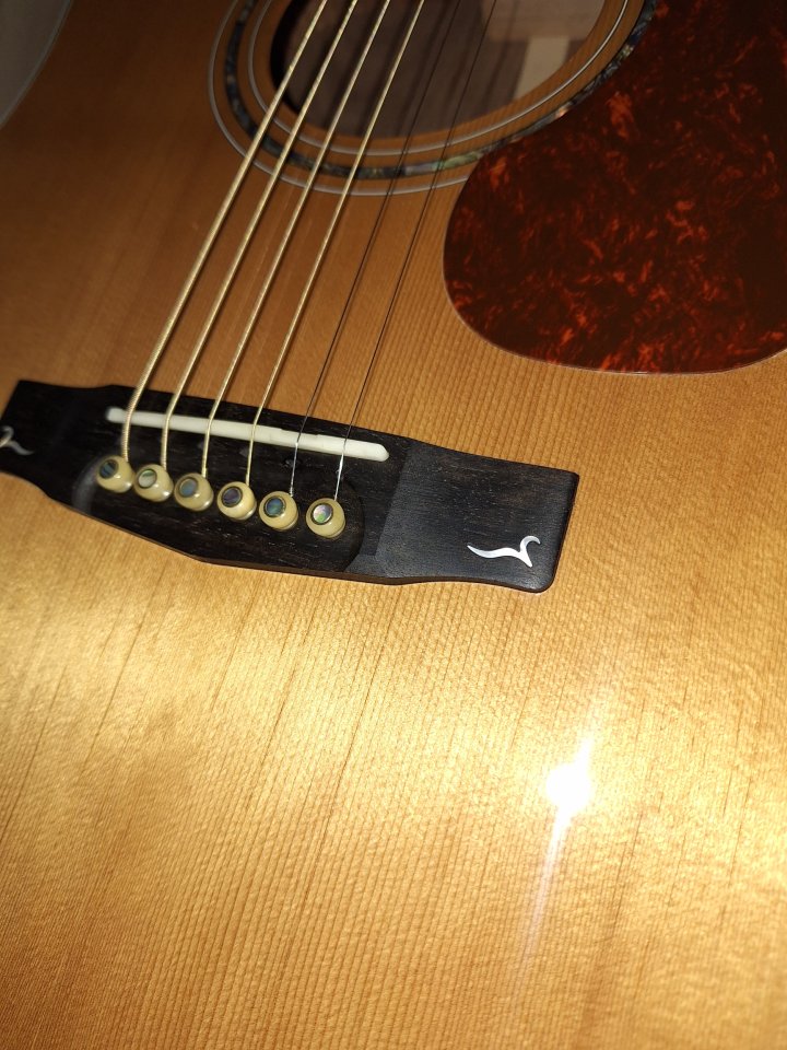 Guitarra acústica Cort Gold D8 maciza + funda