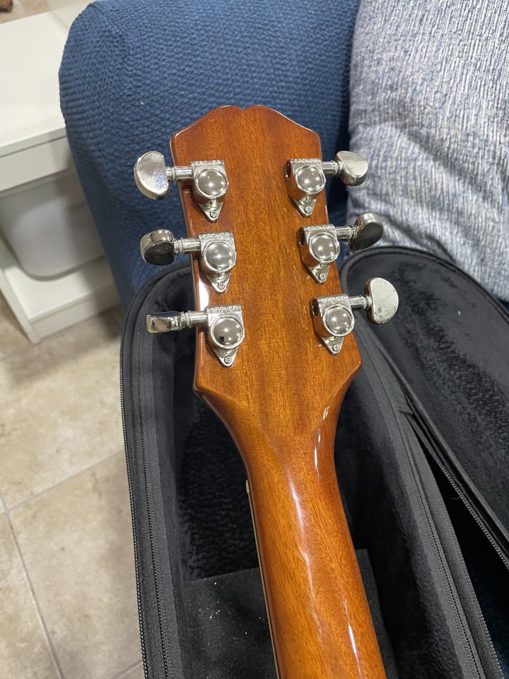 Epiphone 339 Inspired by Gibson