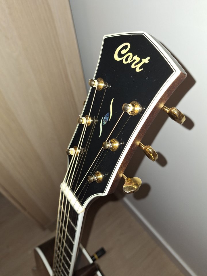 Guitarra acústica Cort Gold D8 maciza + funda