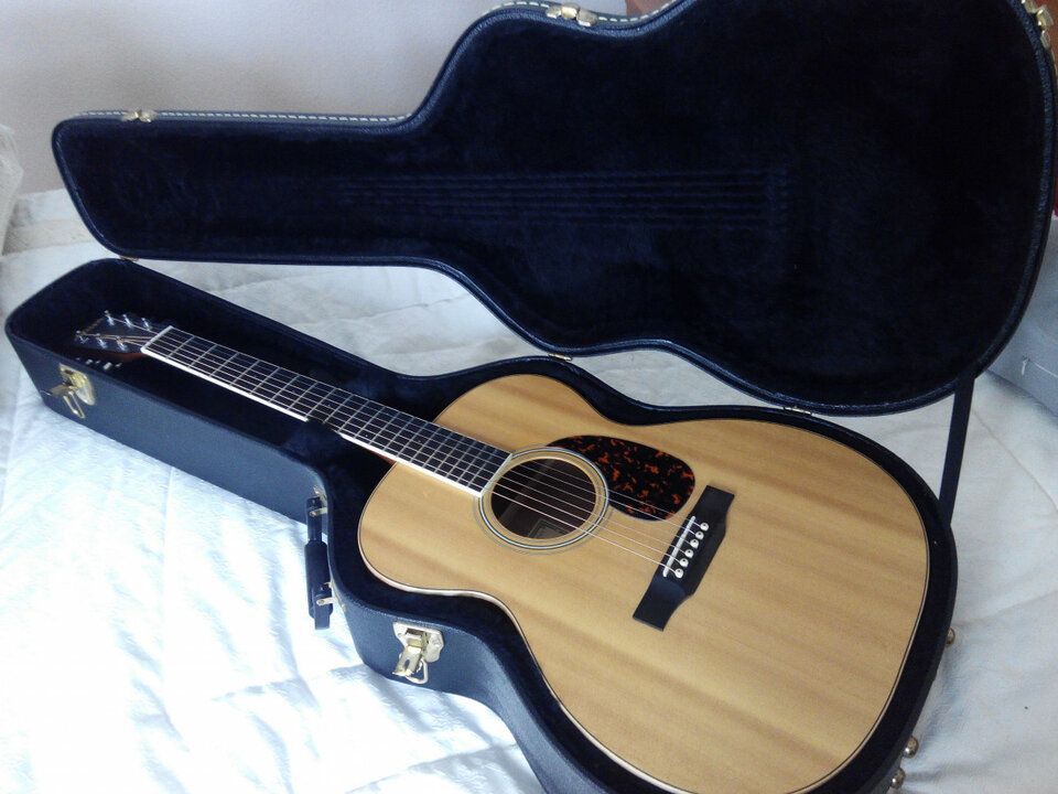 Larrivée OM-03E con previo de serie