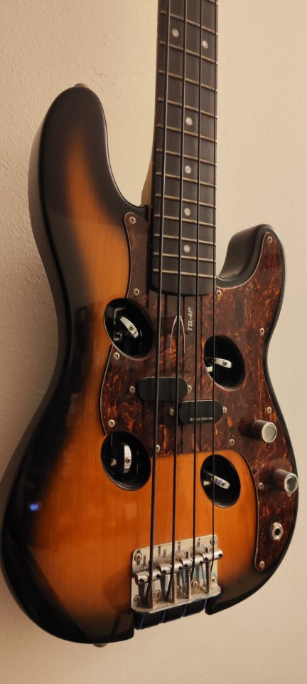 Traveler Bass PB4-P