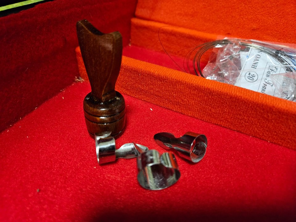 Đàn Tranh - Cítara Vietnamita