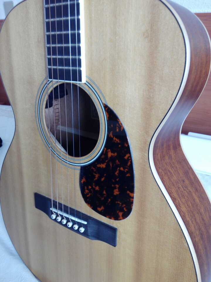 Larrivée OM-03E con previo de serie