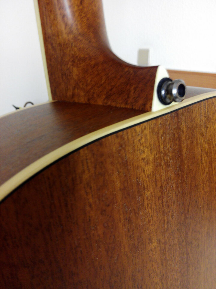 Larrivée OM-03E con previo de serie