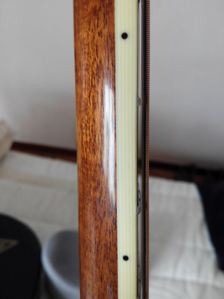 Larrivée OM-03E con previo de serie