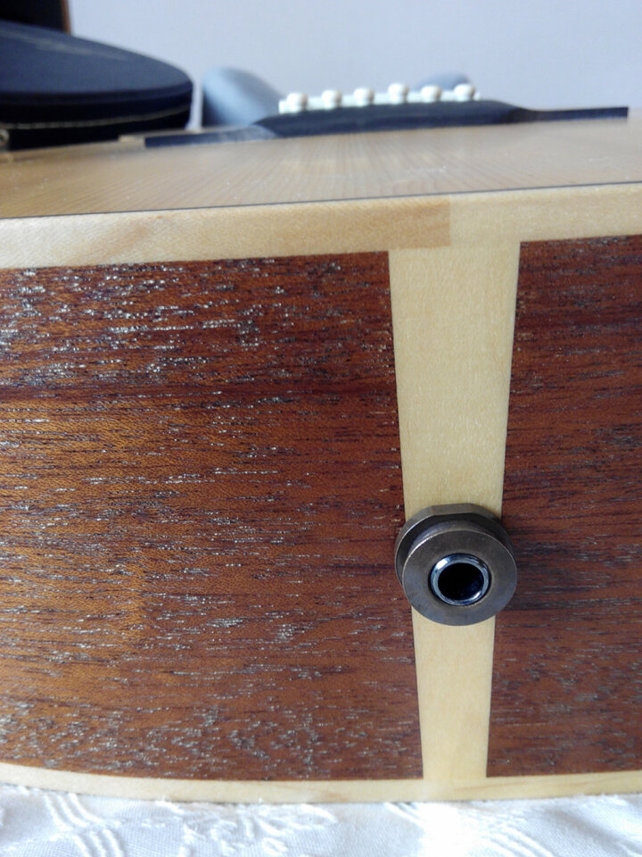 Larrivée OM-03E con previo de serie