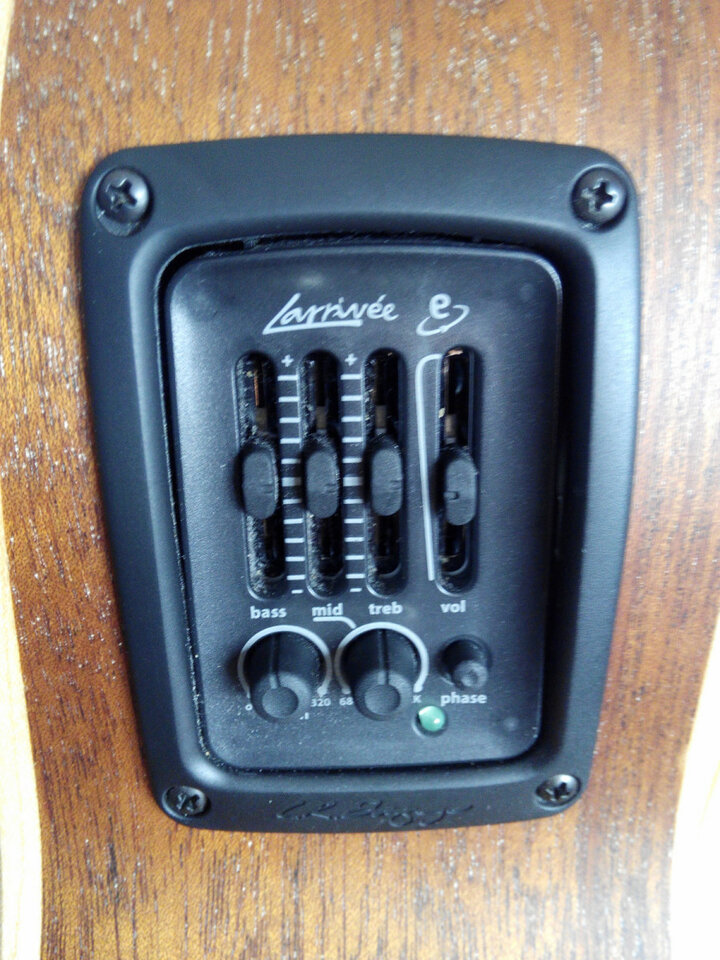 Larrivée OM-03E con previo de serie