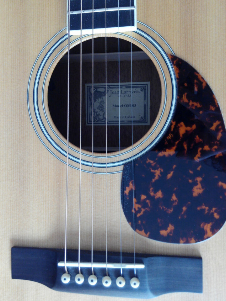 Larrivée OM-03E con previo de serie