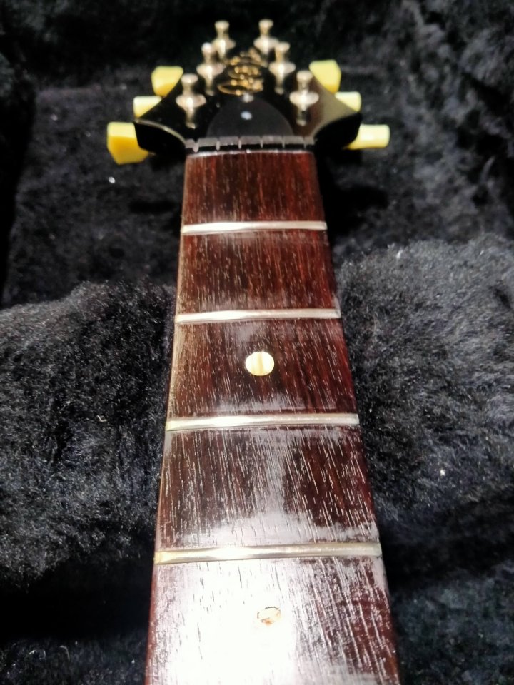 PRS Singlecut SC250 USA / Cambios Parciales