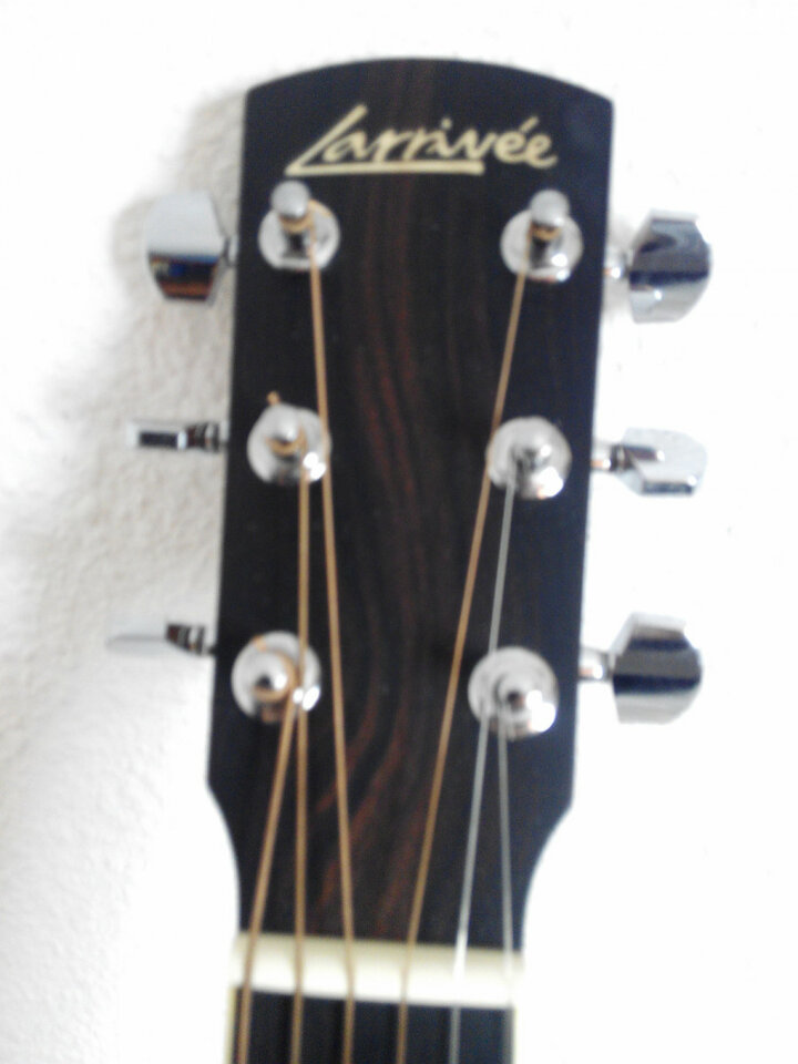 Larrivée OM-03E con previo de serie