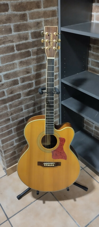 GUITARRA ACUSTICA