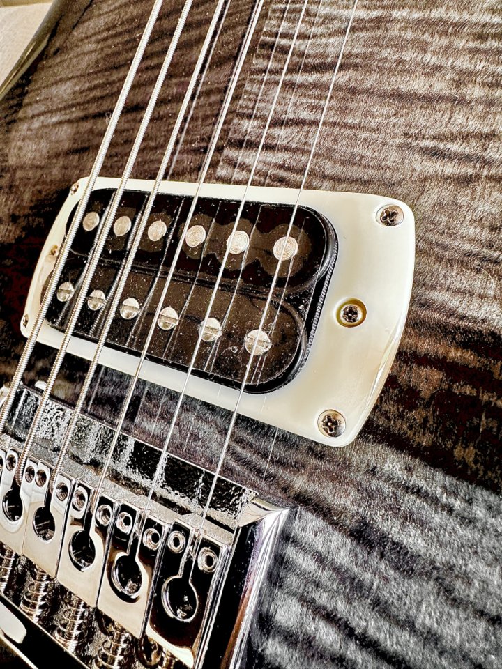 Paul Reed Smith 277 SE Baritone de segunda mano · Foto 4 de 10 · Madrid · 835 €