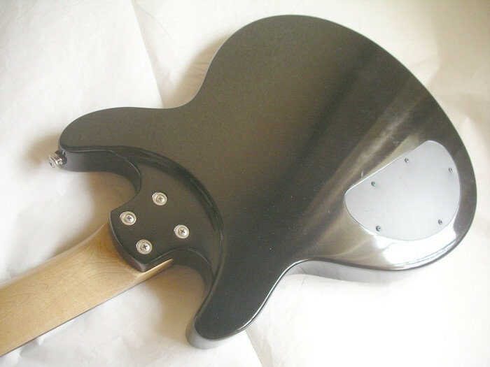 Lag Roxane 100 Standard + apantallado + funda