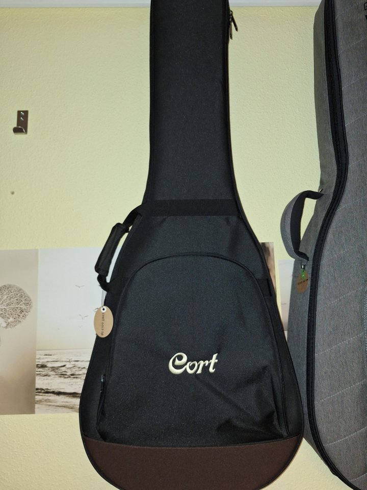 Guitarra Acústica Cort Gold 08 Light Burst + funda