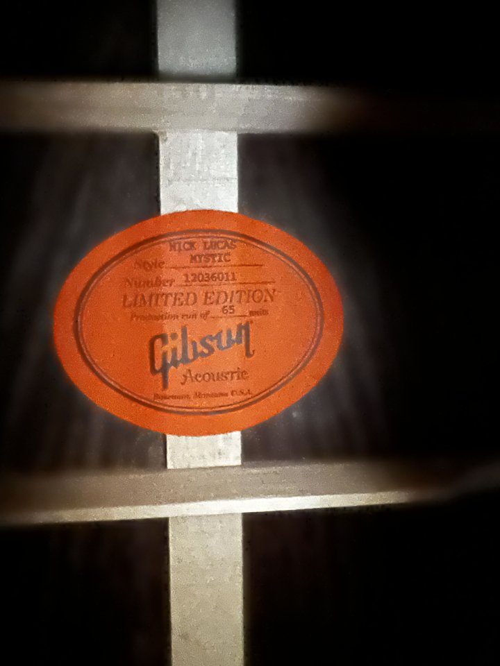 Gibson L-100 Nick Lucas Mystic