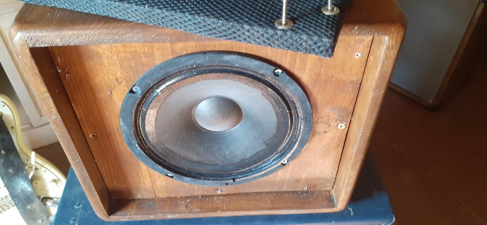 Cabezal ampli 50w Gorilla con pantalla artesanal 1x8