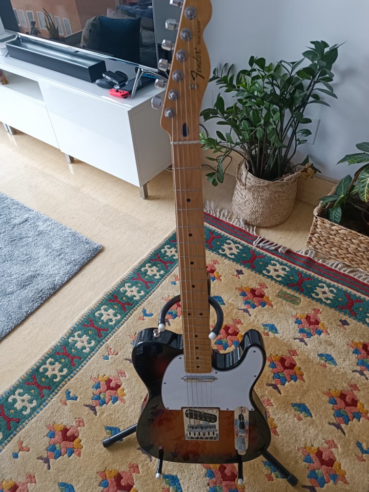 Fender Telecaster MN MX set custom Tex special