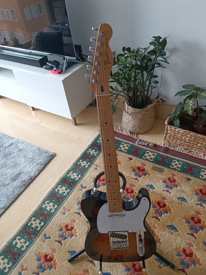 Fender Telecaster MN MX set custom Tex special