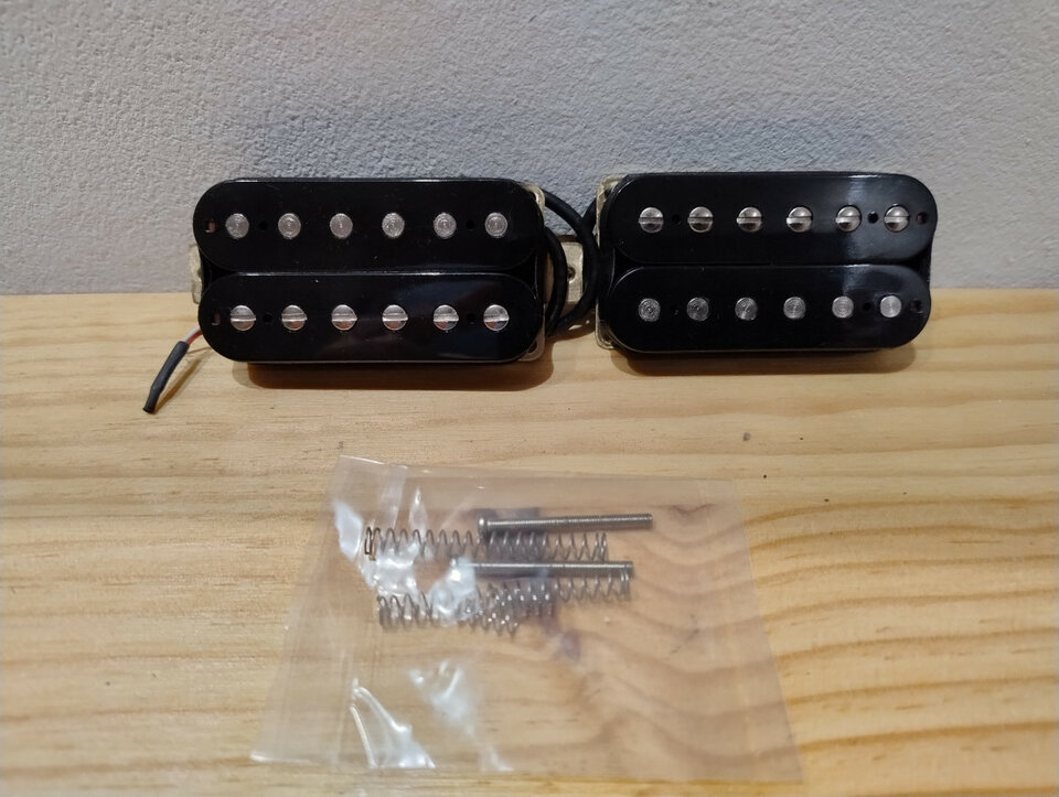 PASTILLAS HUMBUCKERS Edwards Legacy Japonesas 2024