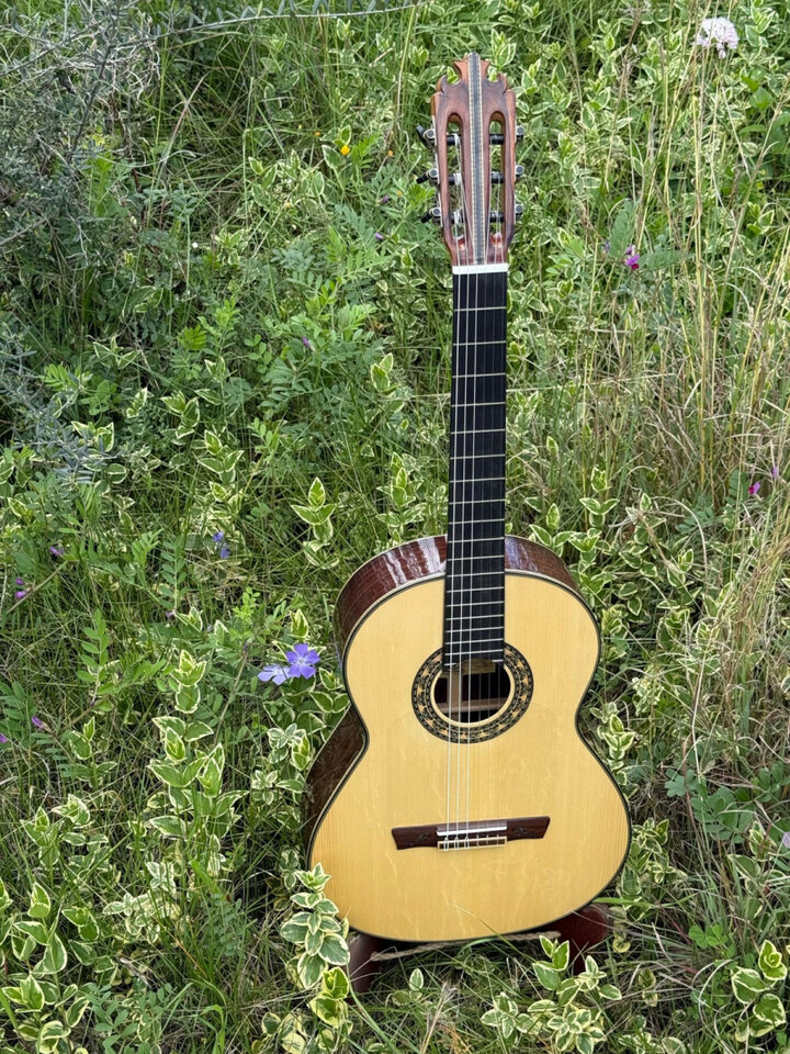 Guitarra flamenca - Palo Santo de India exótico