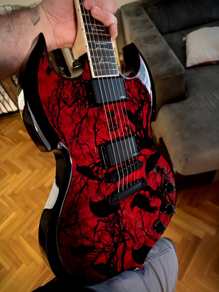 Wylde Audio Barbarian Blood Raven de segunda mano · Foto 1 de 9 · Barcelona · 1300 €