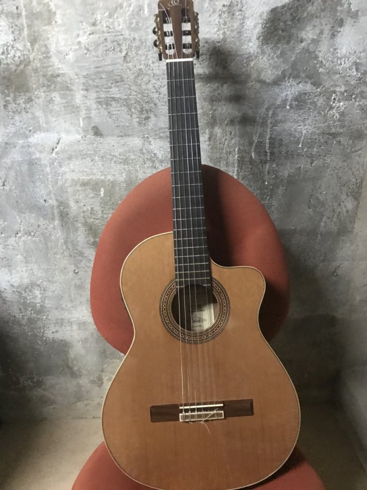 Cambio  guitarra española Ortega Ben Woods Signature BWSM/2